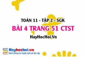 Bài 4 trang 51 Toán 11 tập 2 Chân trời sáng tạo